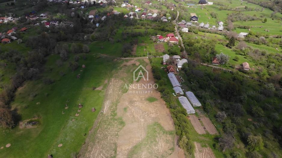 Teren 1,93 ha în Breb, Maramureș – zonă pitorească, Tăul Sărat - Poză 4