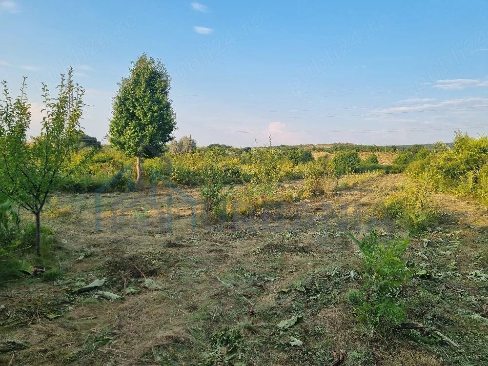 Teren intravilan de vânzare în Curături, comuna Ciurea, Iași - 4.000 mp - Poză 2