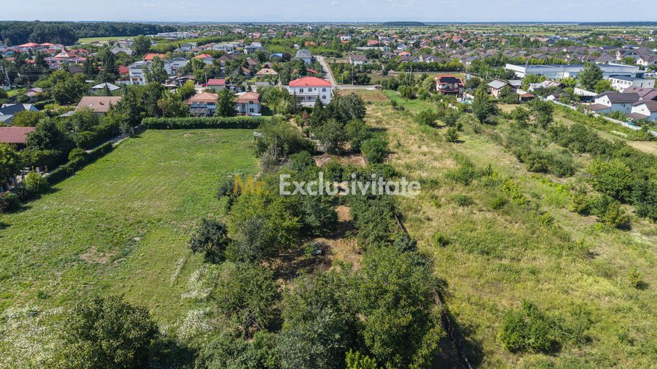 Domeniu privat 5.000 mp, cu reședință de 625 mp și piscină, Corbeanca - Poză 45