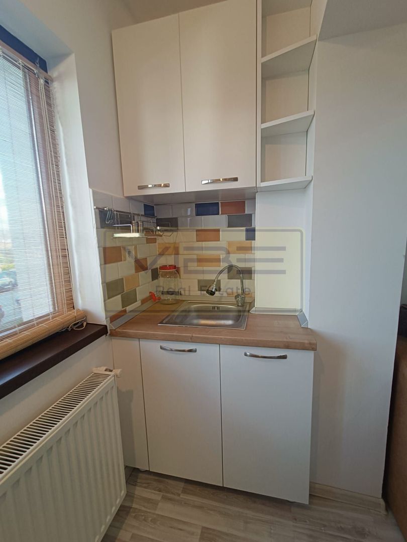 Garsoniera - 250 euro - Vișan ! - Poză 4