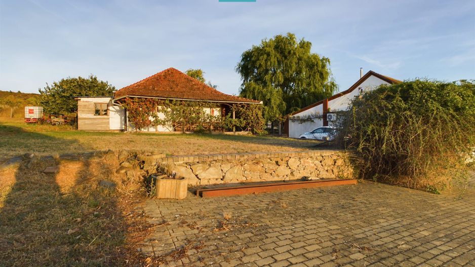 Spațiu comercial - Crama Pivnițele Birăuaș - Poză 14