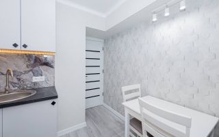 Vânzare, apartament, 1 cameră, str. Ion Neculce, Buiucani - Poză 2