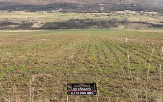 Teren Intravilan-3750mp- zona in plina dezvoltare-Podirei - Poză 2