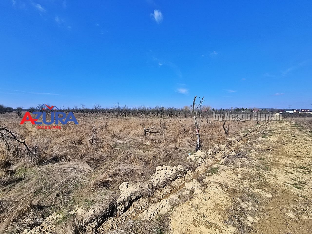 AZURA IMobiliare - Teren Iefin Bascov 3km de Giratoriu - Poză 3