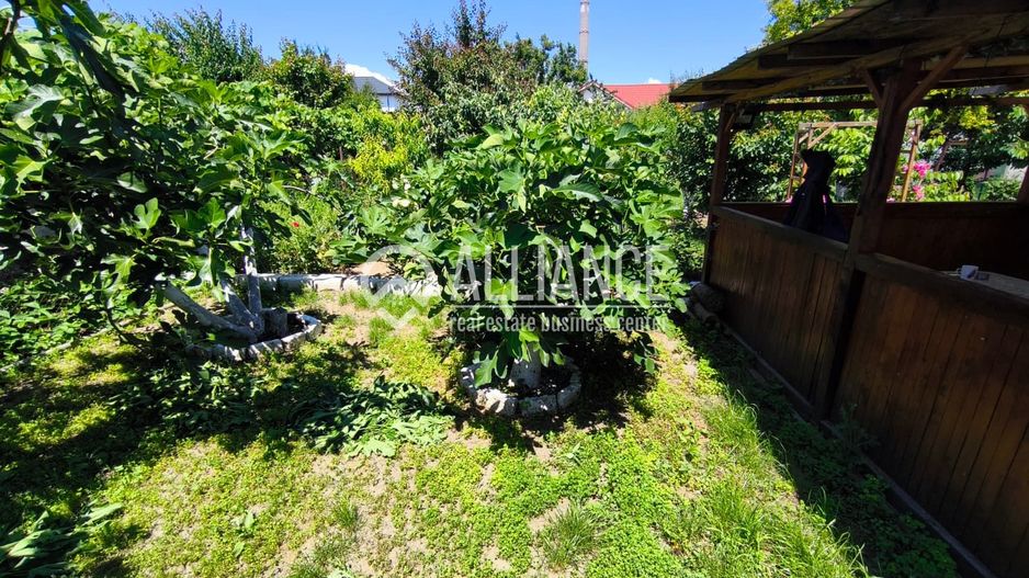 VIILE NOI - casa cu o curte generoasa disponibila imediat - Poză 17