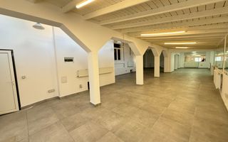 Casa situata in zona Vasile Lascar, Mihai Eminescu, Bd. Dacia - Poză 14