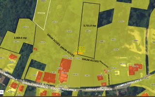 COMISION 0% | TEREN INTRAVILAN 3.731 MP | OPORTUNITATE RARĂ | BRAȘOV - Poză 5