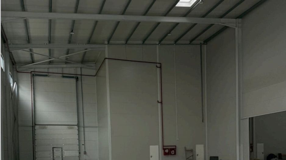 De inchiriat hala industriala in Mogosoaia / Buiacului - Poză 6