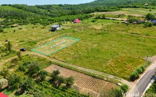 Teren Goruni Tomesti - Poză 1