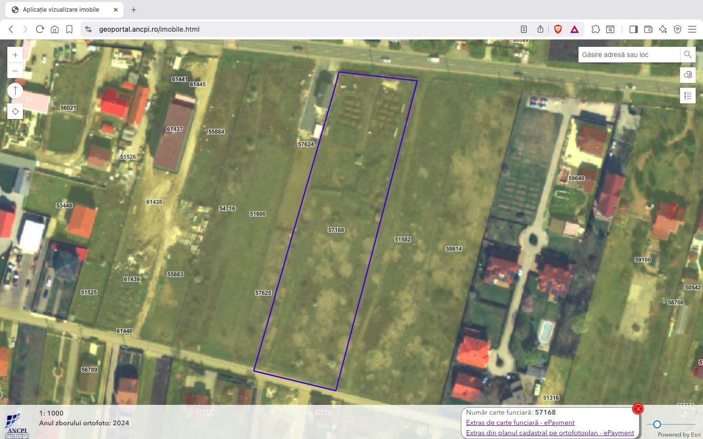 Teren intravilan construibil 7.500 mp Ciorogarla Ilfov - Poză 1