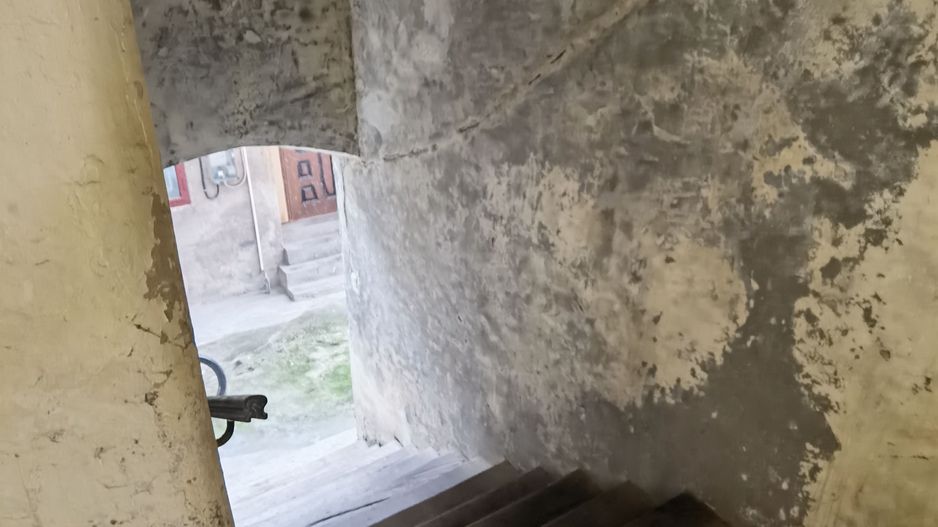 Casa cu apartamente si SAD -uri in zona Traian - Poză 7