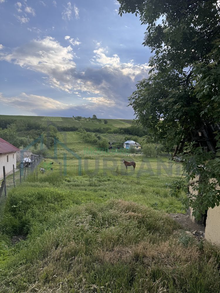 Teren intravilan de 6000 mp in Coarnele Caprei, Valea Babei, cu iesire la strada principala - Poză 2