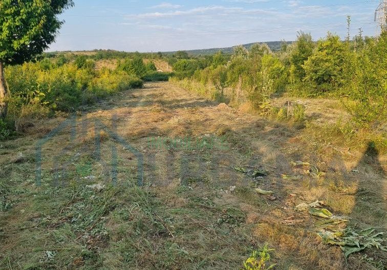 Teren intravilan 4.000 mp în sat Curături, comuna Ciurea - Poză 3