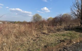 Teren intravilan cu toate utilitatile si drum amenajat Daia - Poză 2