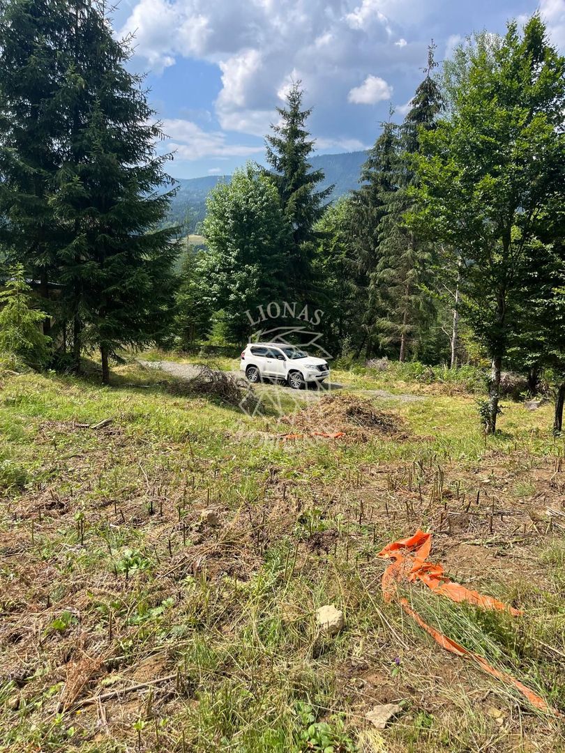 Teren intravilan 1074 mp cu utilitati-ideal pensiune, cabane-Colibita - Poză 4