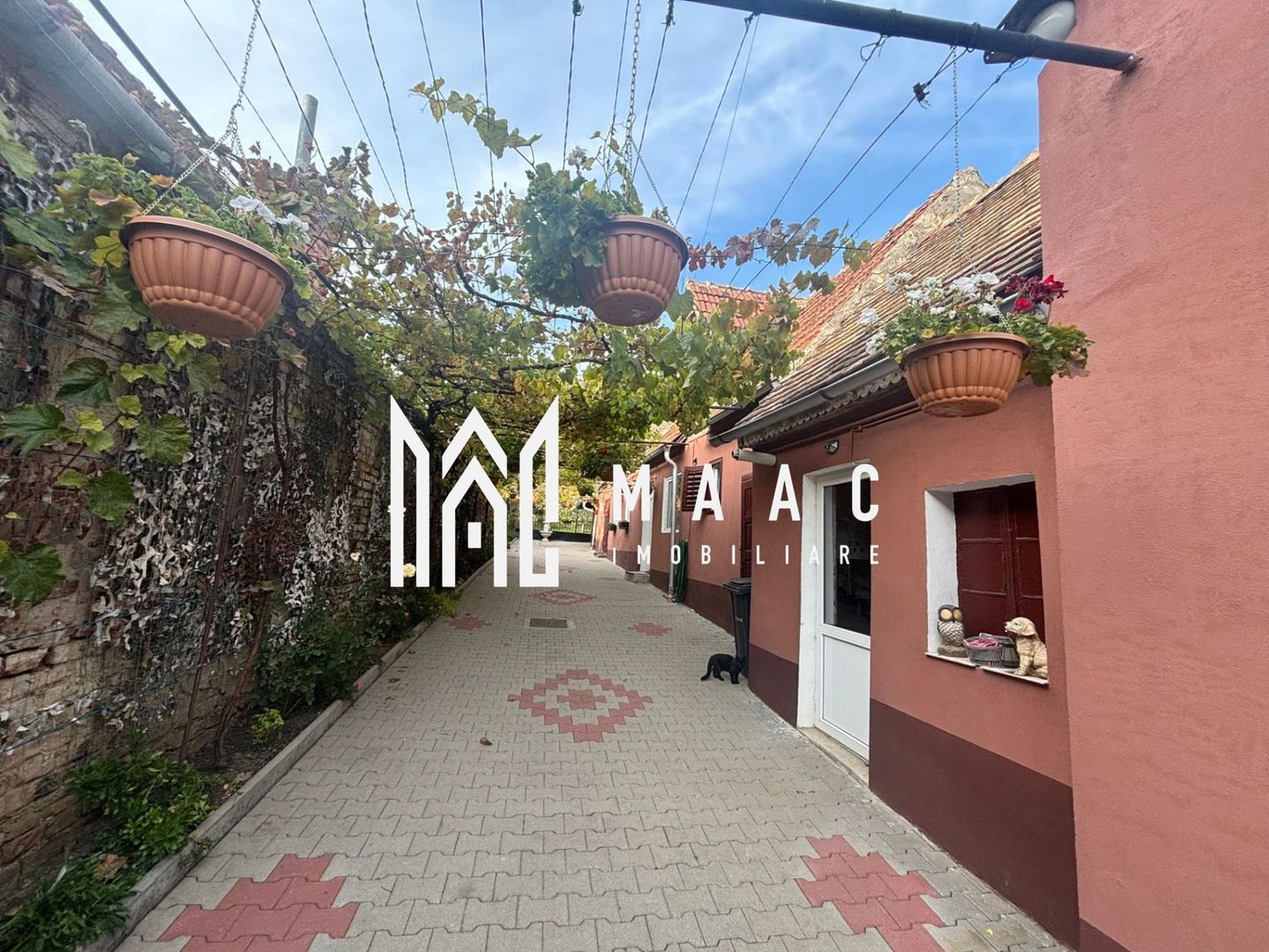 Casa Individuala | 150MPU | 494MP Teren | Sura Mare - Poză 19