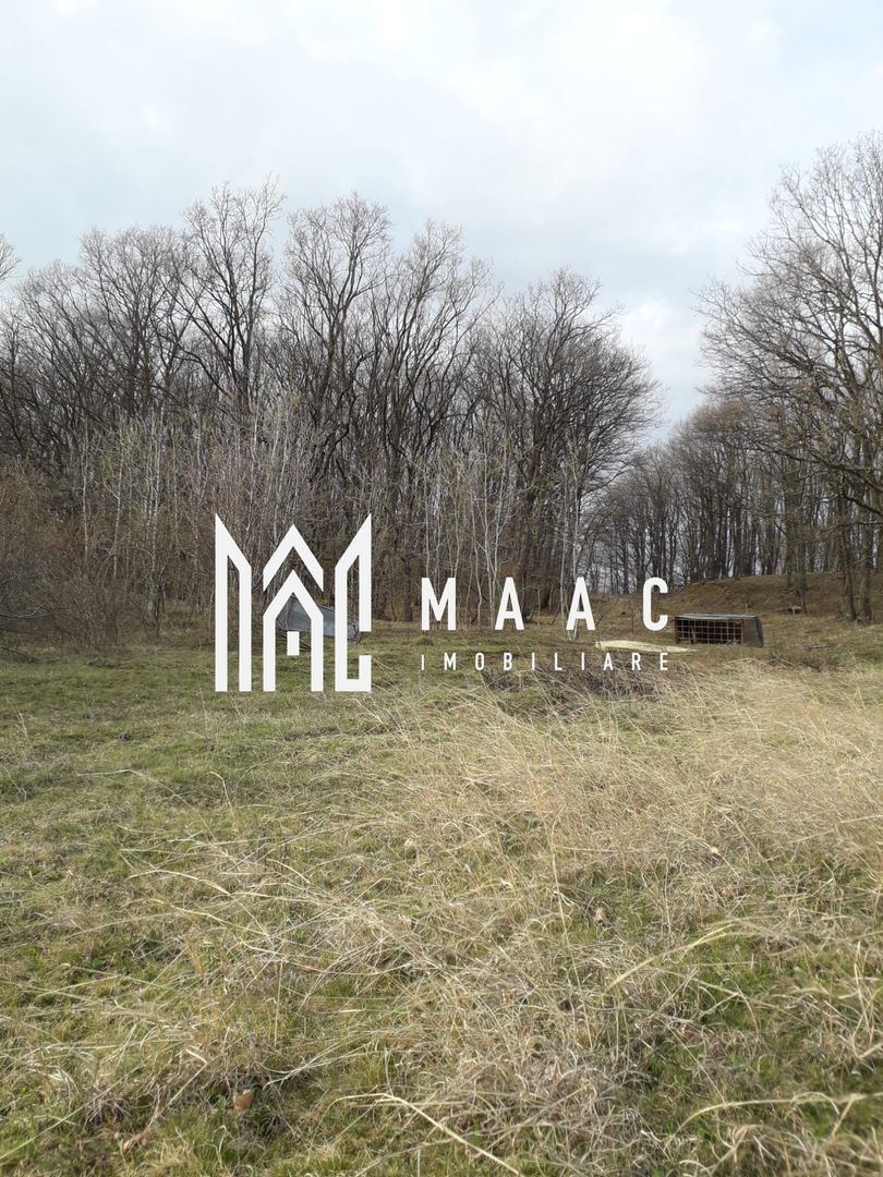 Teren Extravilan 4.572mp | Zonă liniștită | Sadu - Poză 5