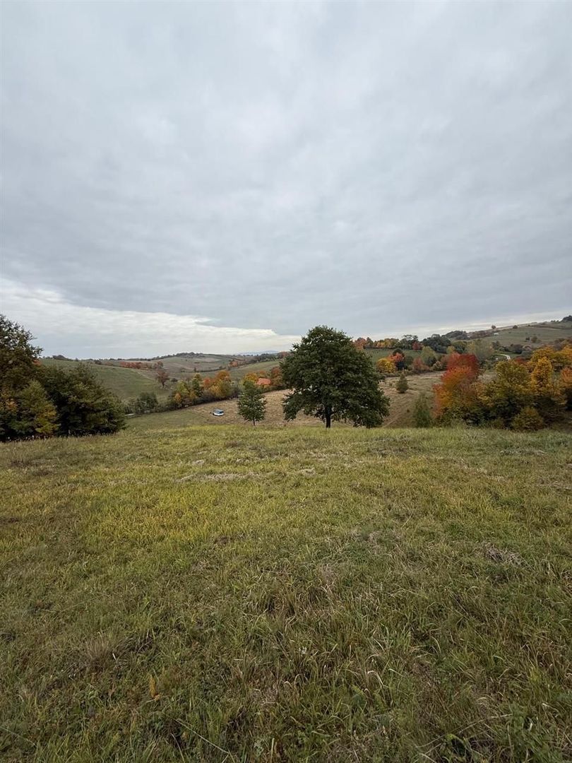 Teren intravilan 17,265 mp in Tomnatic comuna Vadu Crisului - Poză 2