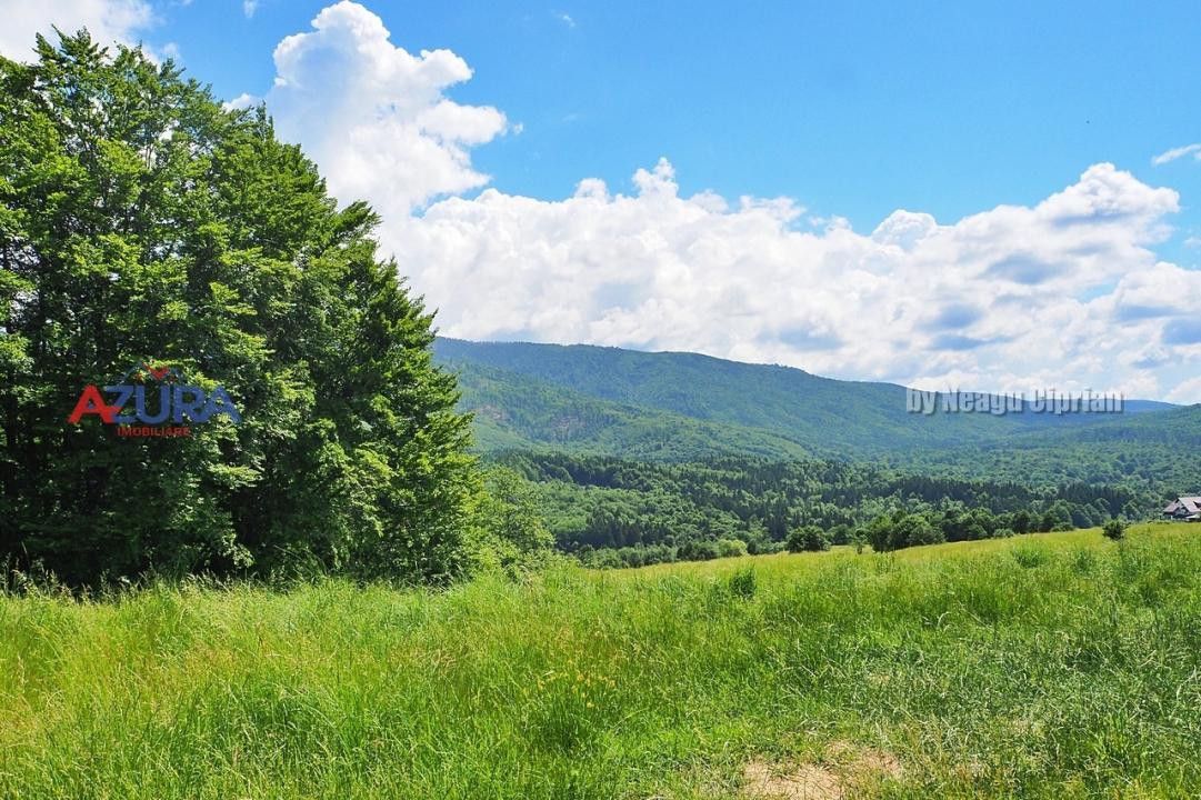 AZURA Imobiliare Pitesti - Casă de vacanță, Nucșoara! - Poză 35