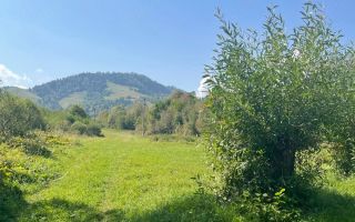 Teren de vânzare, 2.500 mp, Prisaca Dornei, zona Hurghiș, Câmpulung Moldovenesc - Poză 3