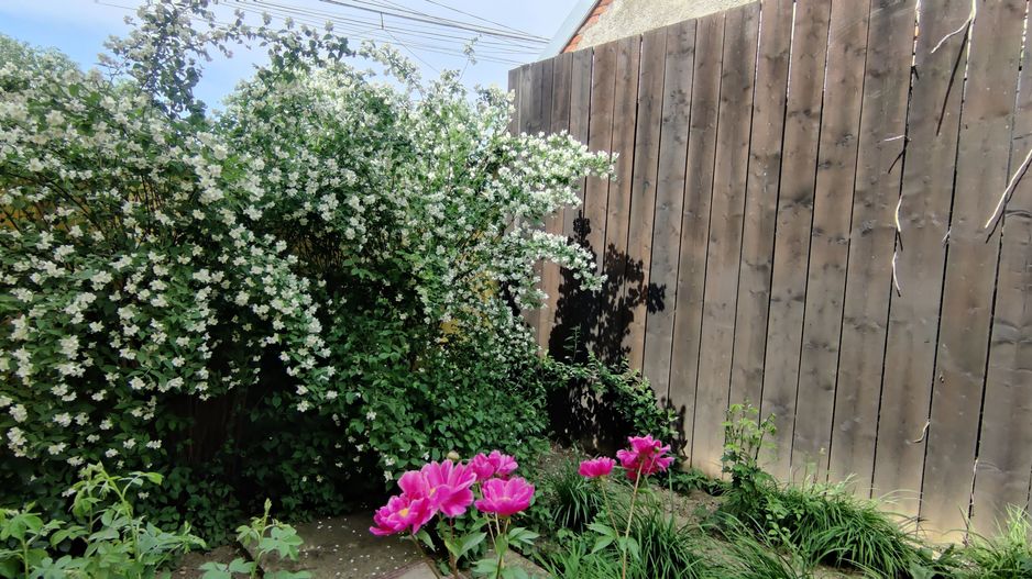 CASA INDIVIDUALA SI HALA CU TEREN  4000 MP - Poză 38