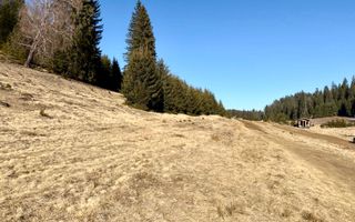 Teren intravilan langa Poiana Brașov, 52 mp front strdal, Utilitati in zona - Poză 3