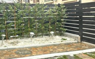 DTL Family Market Miroslava Casă P+E, 232 mp de teren,3 dormitoare,2 băi,mobilată, cartier privat - Poză 3