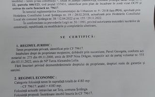 Teren de vânzare in comuna Șotânga, sat Teiș – 4183 mp - Poză 3