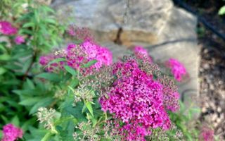 Vila lux de vanzare in cel mai dorit complex din Erou Iancu Nicolae-locatie rara - Poză 41