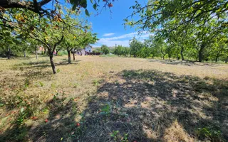 De vanzare teren 10.651mp intravilan, parcelabil, Oarda de Sus - Poză 11