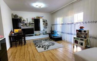 Casă Cocheta si Eficienta 4 Camere Domnești