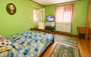 Casă individuală, teren generos de 1.348mp, poziție centrală, Giarmata - Poză 14