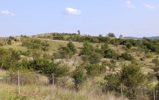 Teren extravilan parcelat Valea Budacului