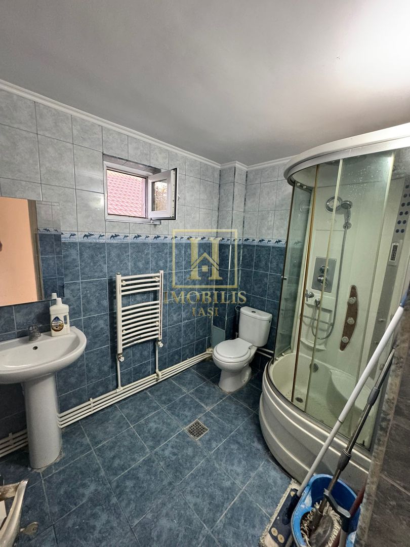 Casa individuala 110 mp + garaj  Lunca Cetatuii 130000 euro - Poză 9