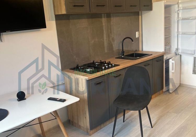 Apartament de închiriat, 2 camere, zona Podu Roș, Iași - Poză 8