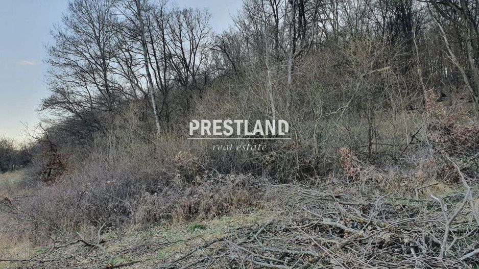 Teren 46.300 mp-zona Gușterița!! - Poză 8