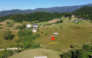 Teren intravilan 3.908 mp în Ciocanu – vedere panoramică spre Munții Bucegi - Poză 2