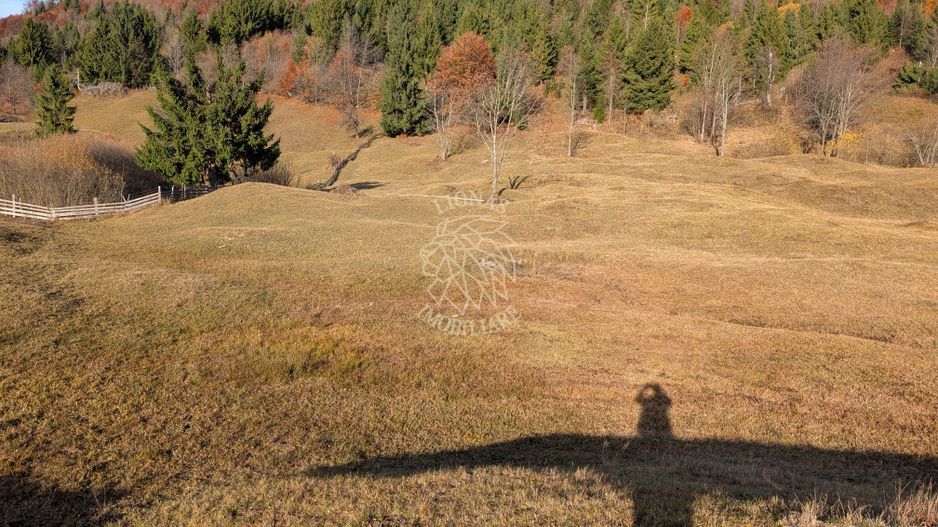 COMISION 0% Teren Parcelabil 2950 Panorama la Lac Colibita - Poză 6