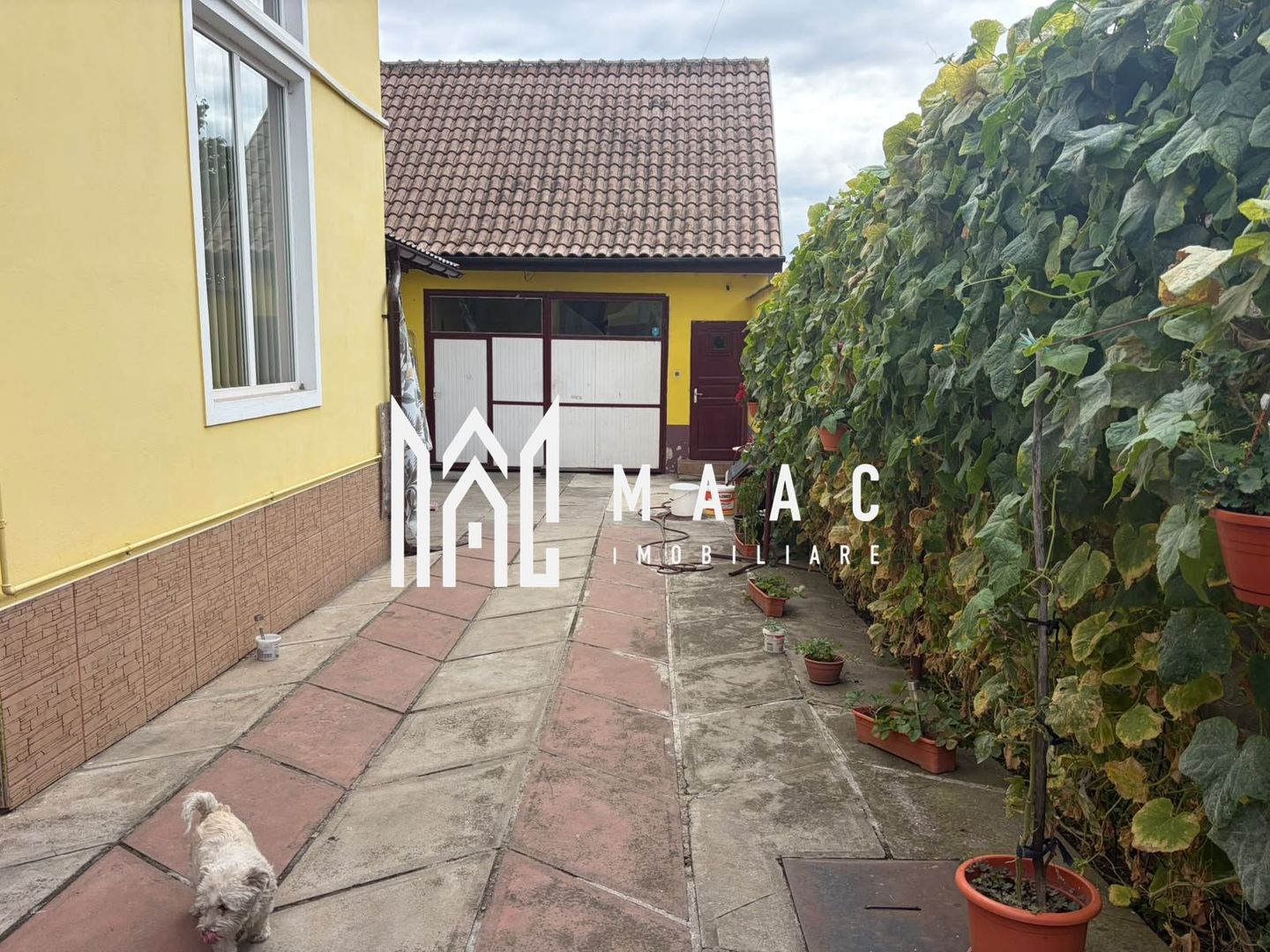 Casă 4 camere de vânzare | Sibiu, Terezian | atelier auto autorizat - Poză 4