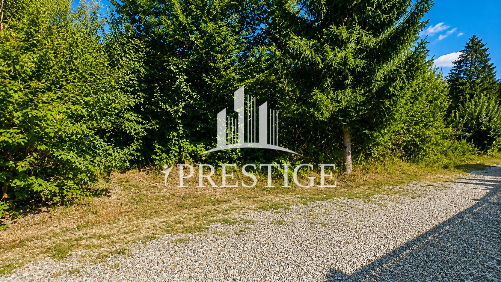 TEREN INTRAVILAN 744 MP | VALEA AVRIGULUI | IDEAL PENTRU CABANĂ - Poză 16