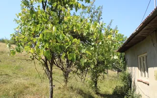 Poiana Sohodol I 5600 MP I Trei corpuri cladiri I Utilitati - Poză 69