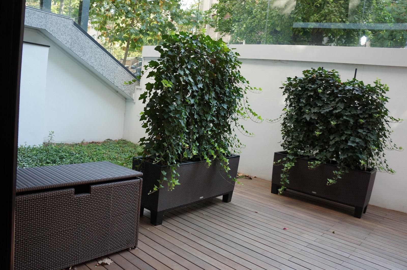 Apartament unic Primăverii - Piața Charles De Gaulle - Poză 12