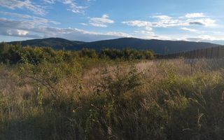 Teren de Vanzare 25AR Crainimat - Poză 5