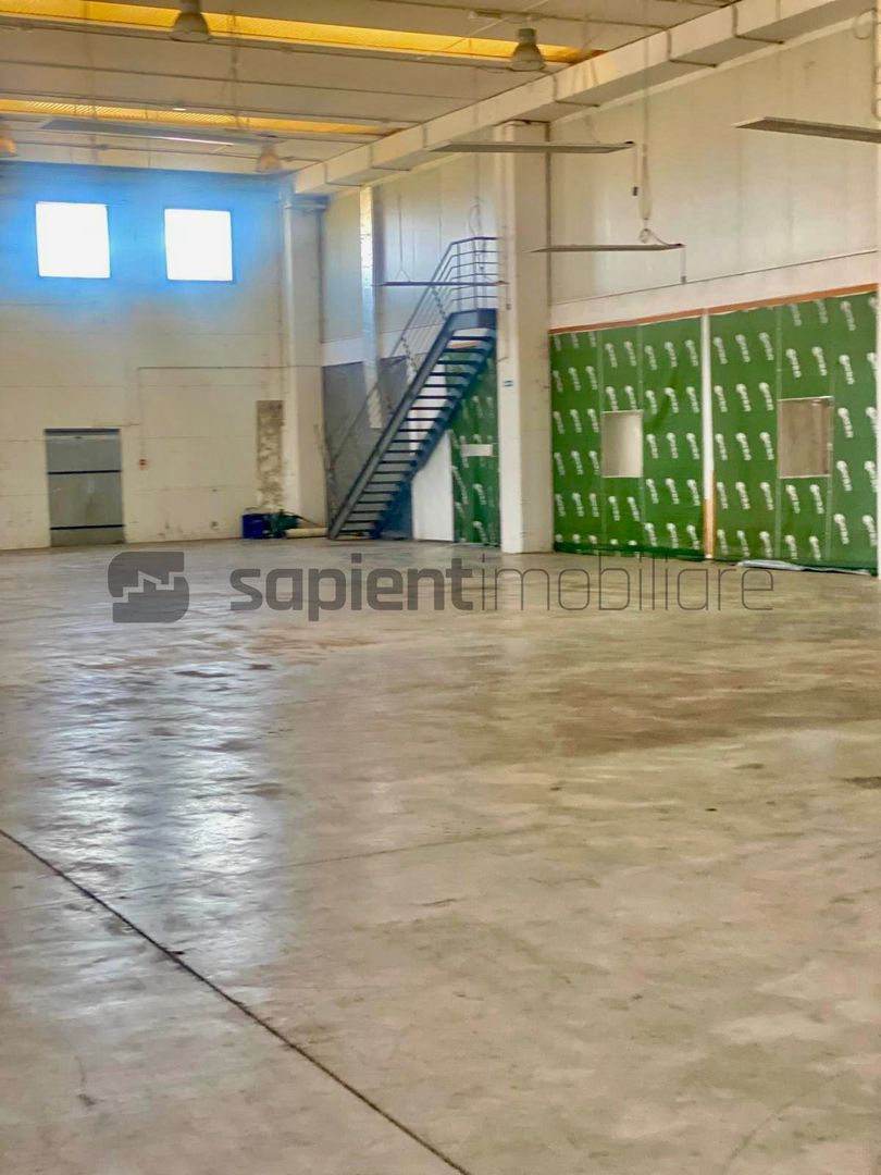 Sapient | Hală situata în com. Borș - Poză 7