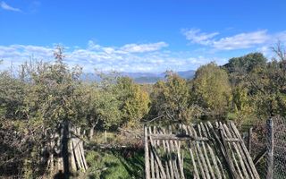 CASA 3 CAMERE, MATAU, CÂMPULUNG, TEREN 1709 - Poză 24