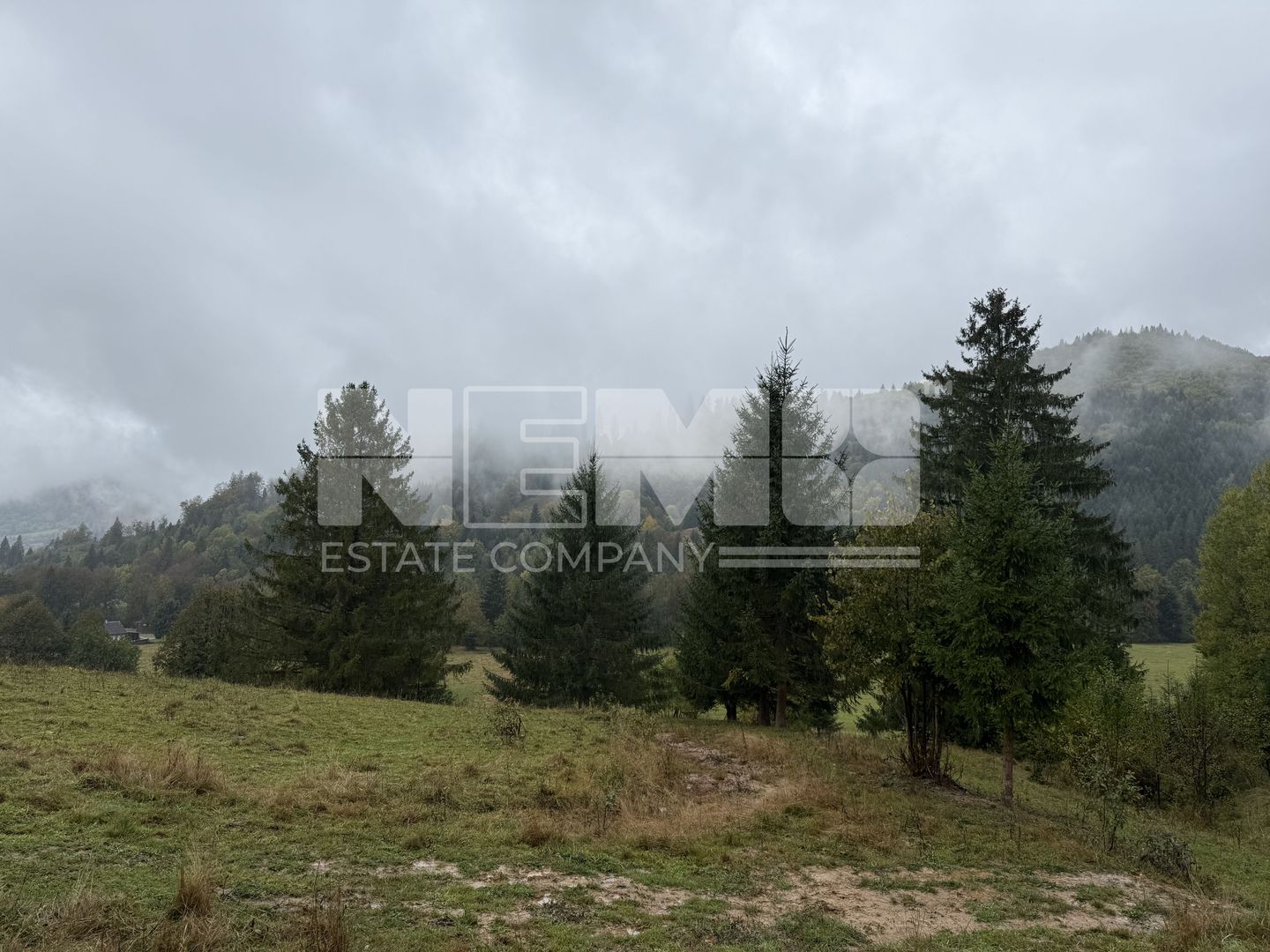 Teren Extravilan | 6.100 mp | Brodina | 41.500 € negociabil - Poză 4