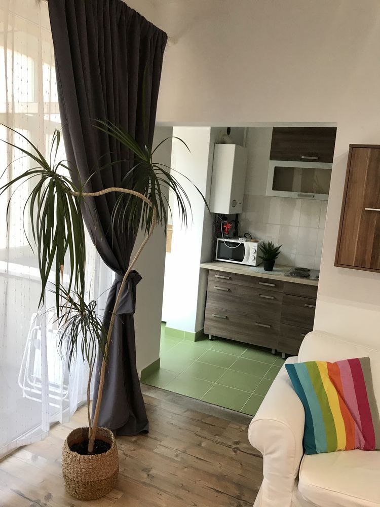 Apartament 1 camera cu nisa de dormit - Poză 4
