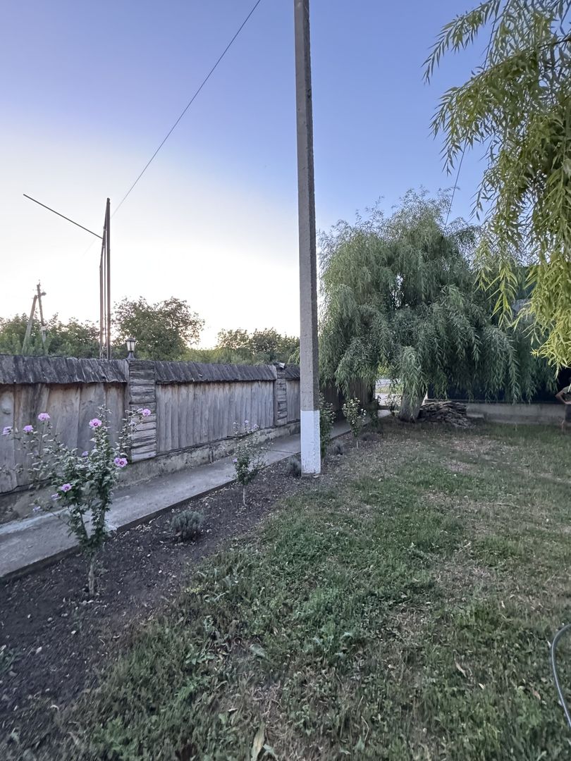 Spațiu Comercial prima linie. Step-Soci, drum Național R20. - Poză 12