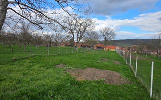 Casa individuala I Curte I Teren 1700 mp I Rosia - Poză 38