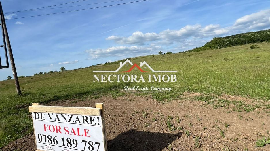 NECTORA IMOB-Teren Intravilan Baile Felix-Usa Oil, 8603 mp, Iesire DN - Poză 1